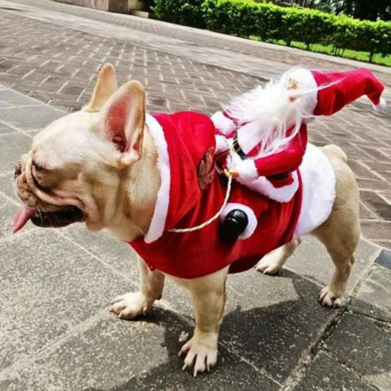 PawNoel – Vêtement de Noël style Père Noël pour chien avec sangle réglable - Image 5