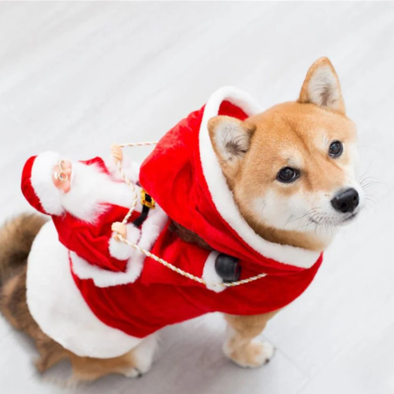 PawNoel – Vêtement de Noël style Père Noël pour chien avec sangle réglable - Image 6