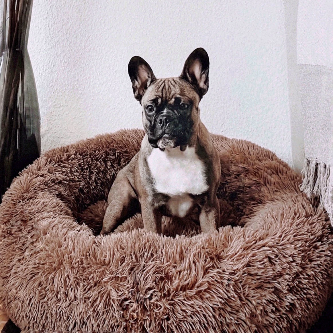 PawPeace - Lit pour chien en fausse fourrure confortable pour soulager le stress - Image 3